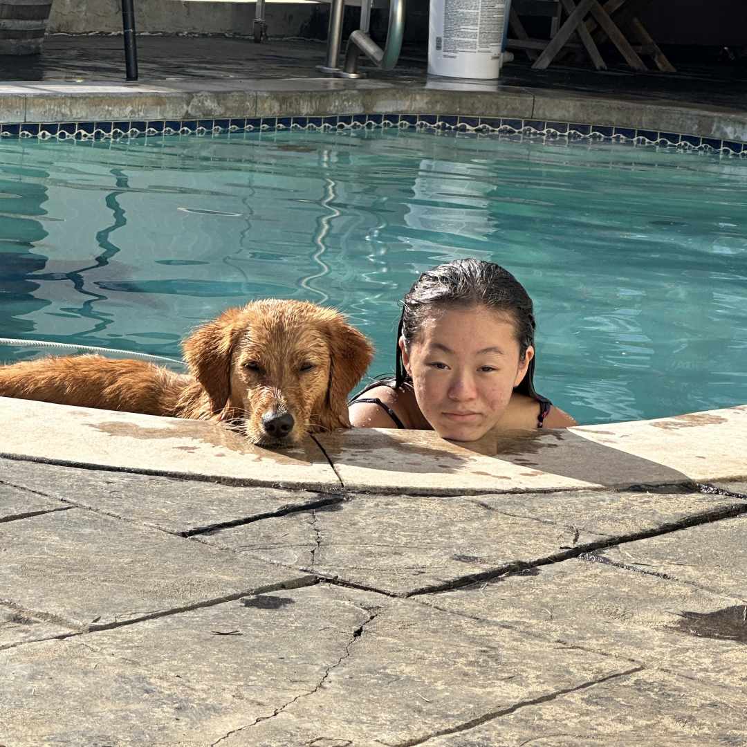 A golden retriever dog and a person relax in a swimming pool.