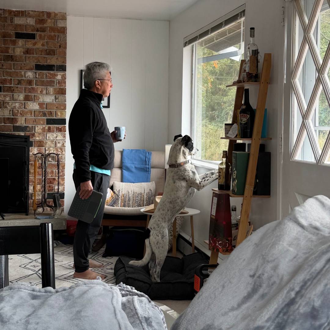 A person holding stands in a living room while a spotted dog stands looking out a window.